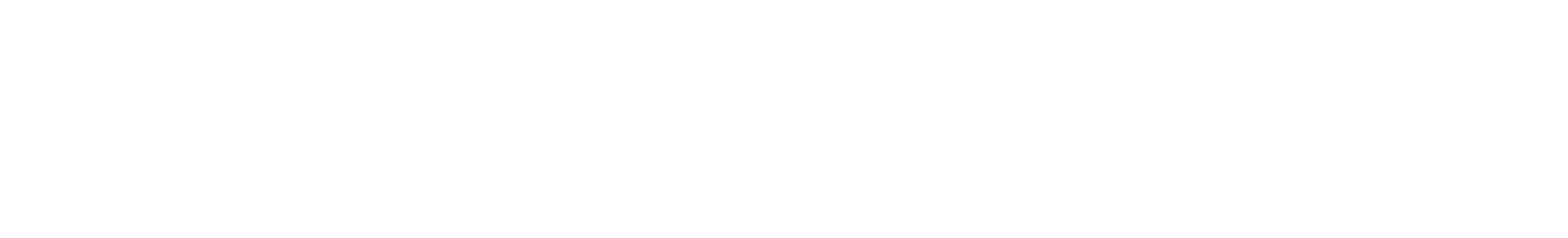 Logo_Fireblocks