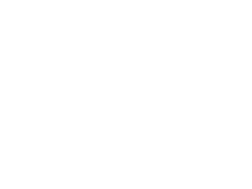 avalanche4523